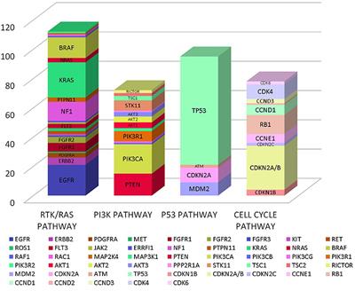 Molecular Profiling of Advanced Malignancies: A Community Oncology Network Experience and Review of Literature